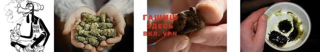mix Заводоуковск
