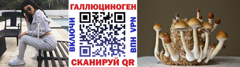 Псилоцибиновые грибы MAGIC MUSHROOMS  Долгопрудный 